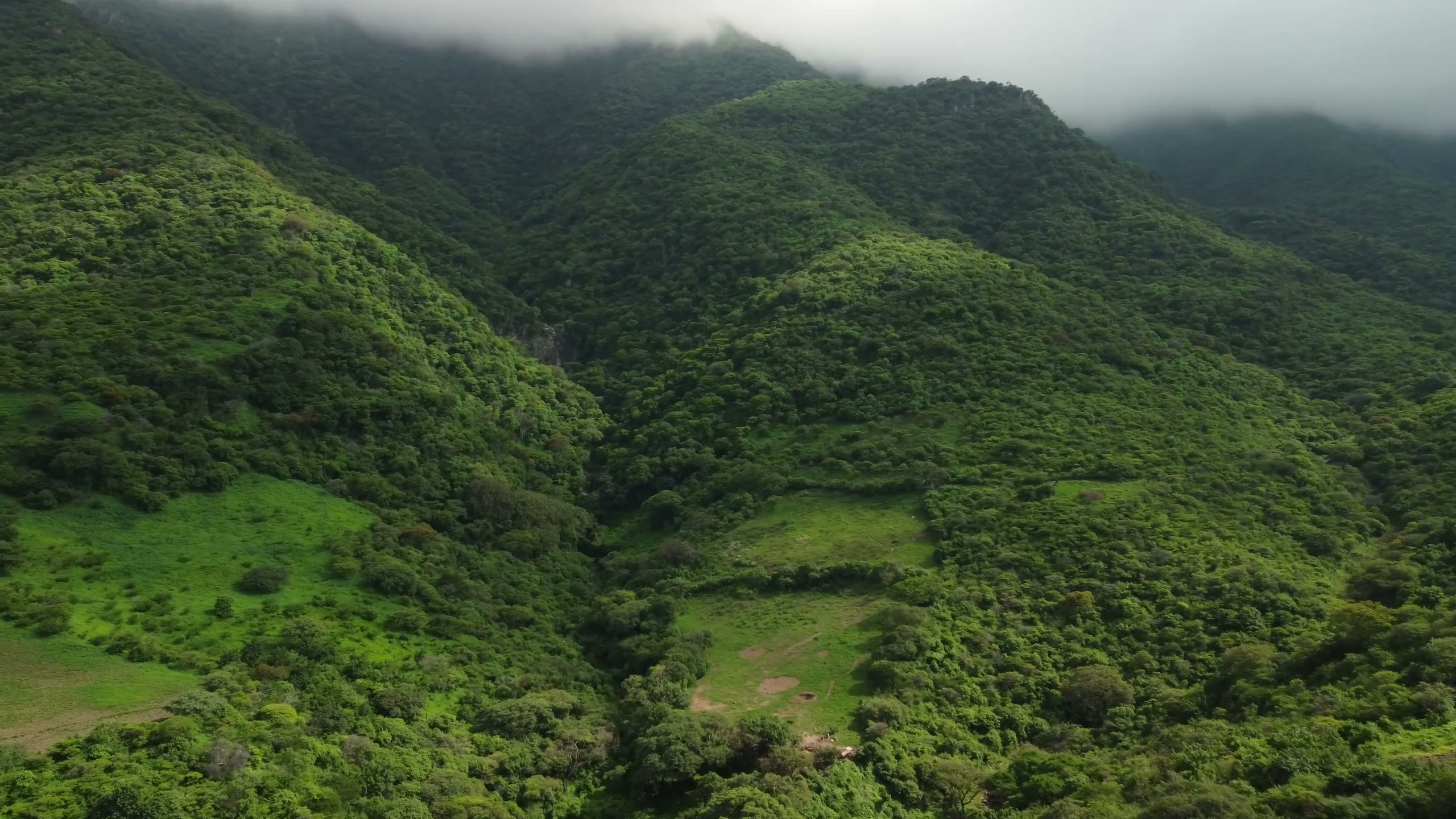 Green hills under an open sky
